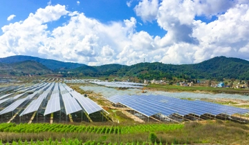 Congratulations! Winning The Bid of 200MW Agricultural Photovoltaic Power Generation Project in Yongzhou, Hunan Province