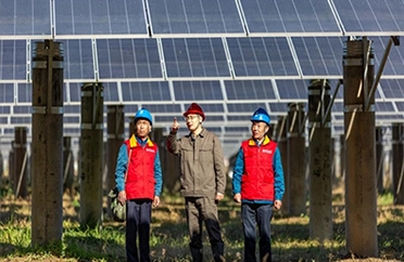 Successful Completion of Huaneng Jinxiang Mamiao 100 MW Agricultural Photovoltaic Power Project